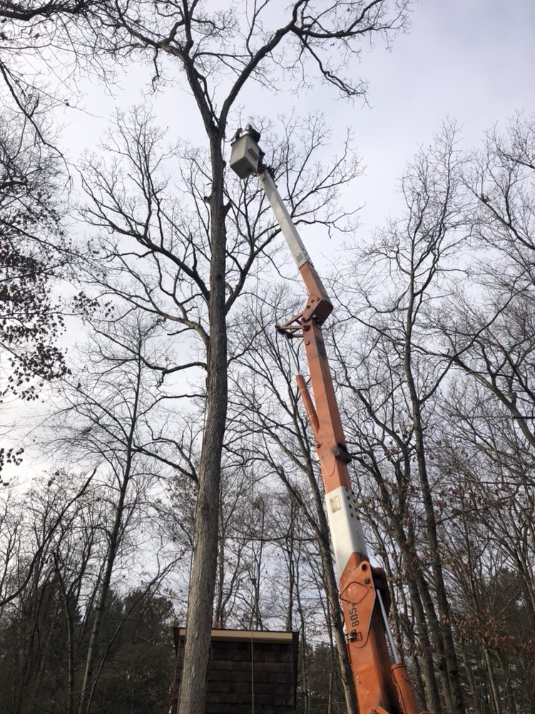 Saw'd Off Tree Service