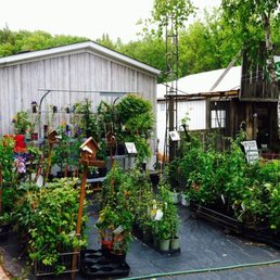Baltimore Valley Garden Centre - 20 Photos - Nurseries Baltimore Valley Garden Centre - 20 Photos - Nurseries