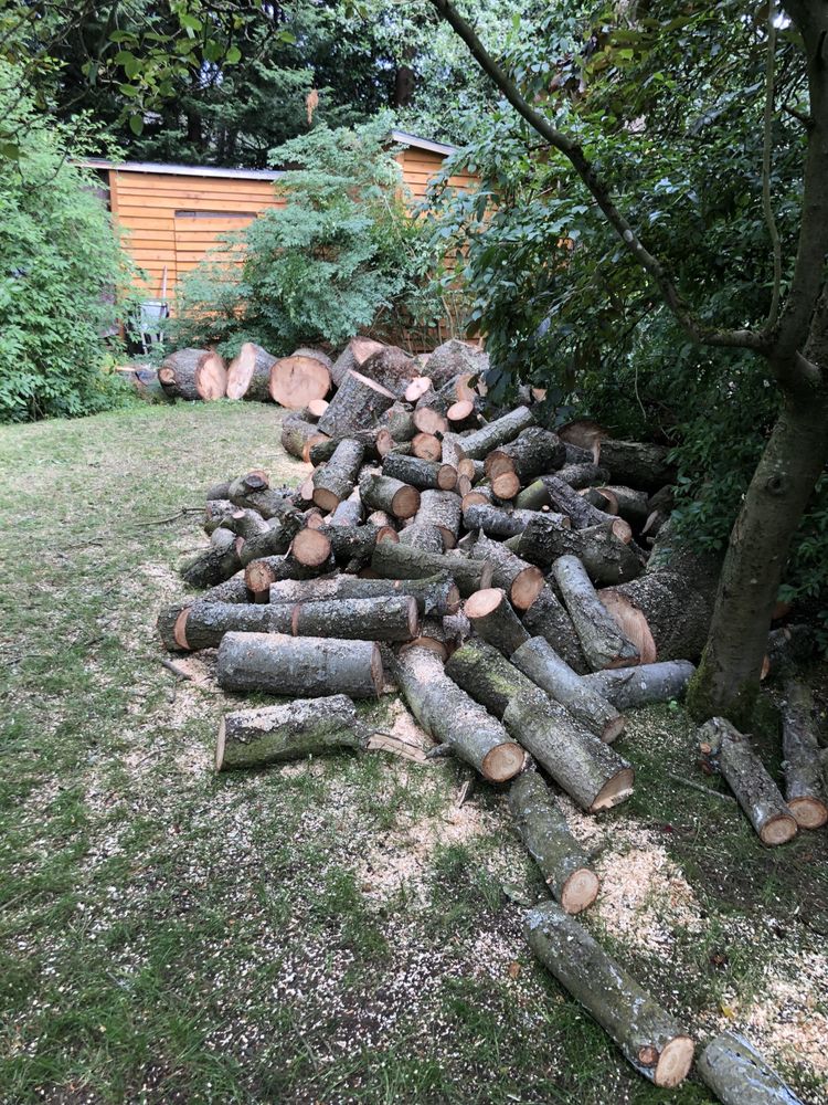 Ever-Green Tree Care