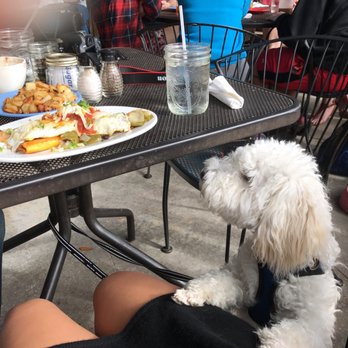 Lost Dog Cafe Menu Folly Beach Sc Lost Dog Cafe Menu Folly Beach Sc