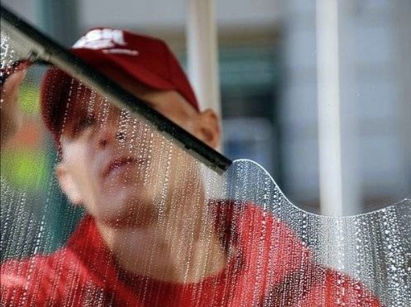 Fish Window Cleaning