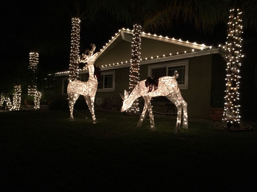 Holiday Light Works