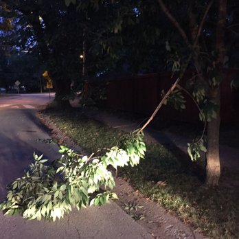 tree service kansas city photo of wright tree service kansas city mo united states services mo phone number tree service kansas city photo of wright tree service kansas city mo united states services mo phone number
