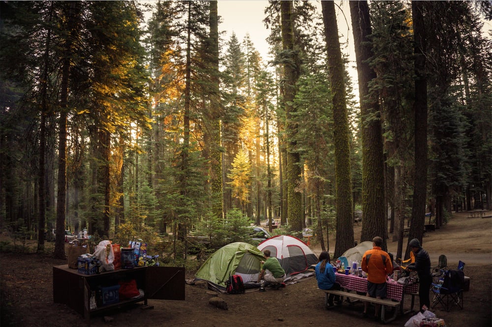 Crane Flat Campground 46 Photos & 44 Reviews Campgrounds Big Oak