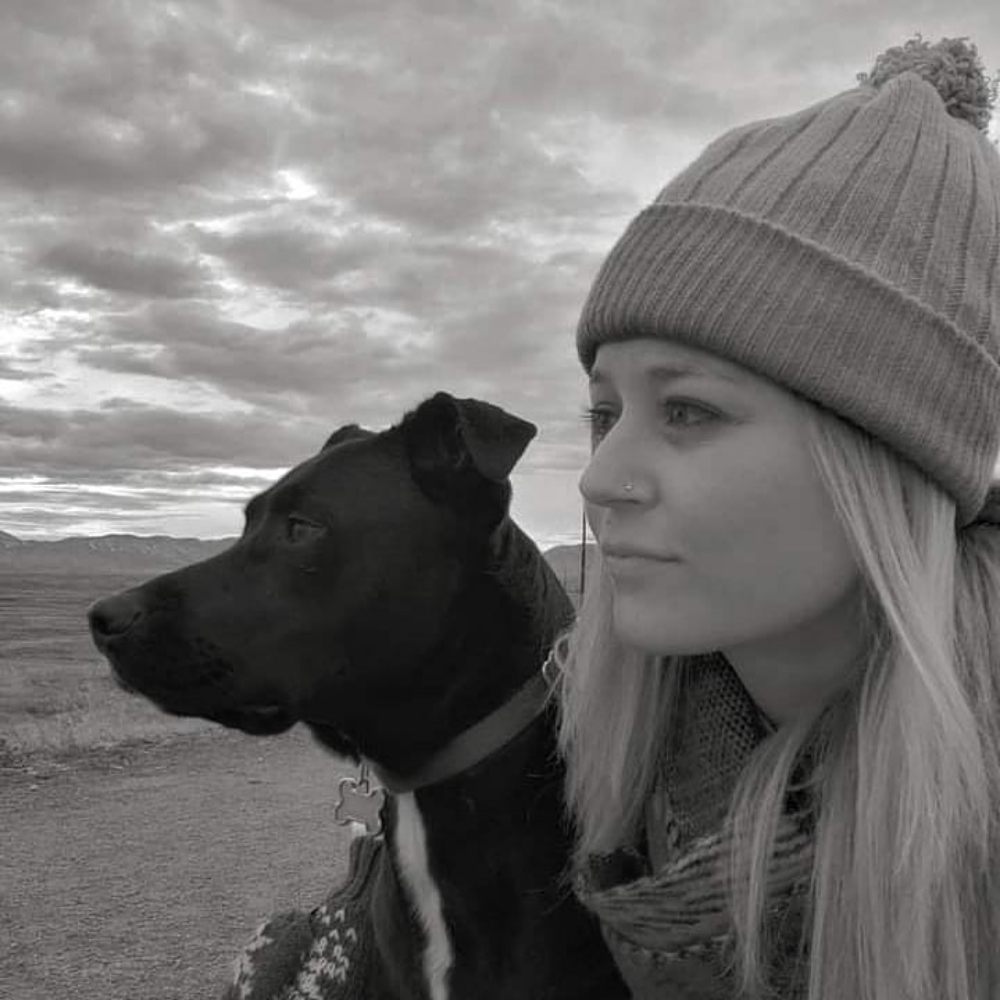 Lay N' Stay Pet Nanny