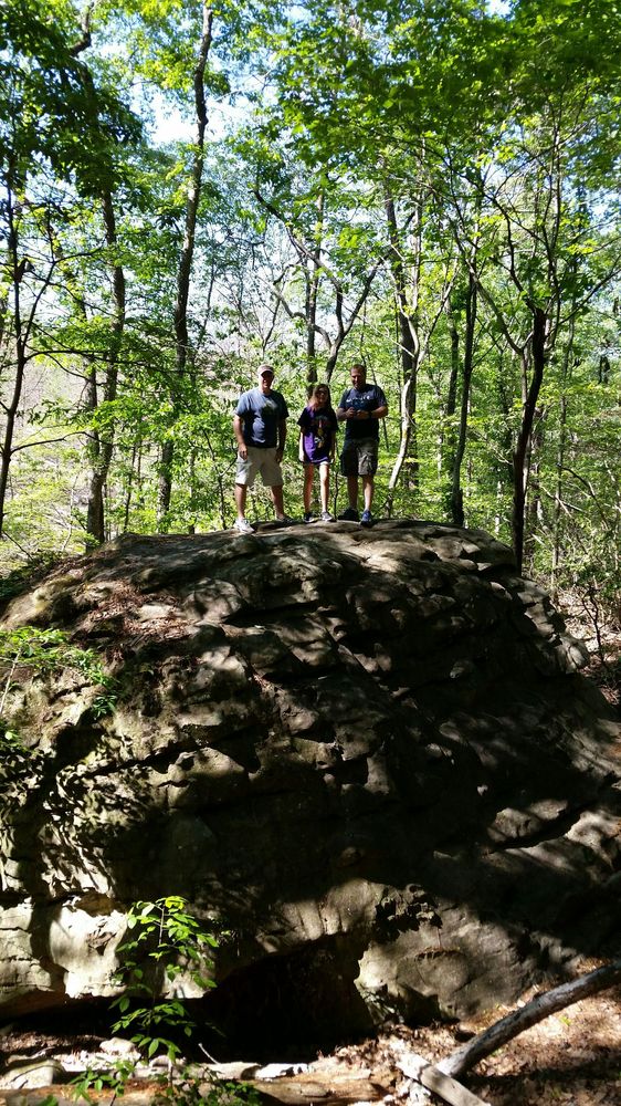 Moss Rock Preserve 82 Photos & 28 Reviews Hiking 617 Preserve