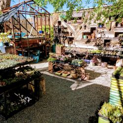 sierra water gardens closed