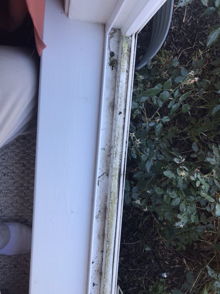 Reston Window Cleaning