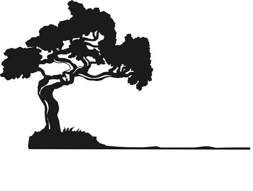 Bay Pointe Landscape