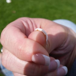 Tomball Nails - 13 Reviews - Nail Salons - 30526 State Highway 249