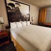 Pelican Inn gift card