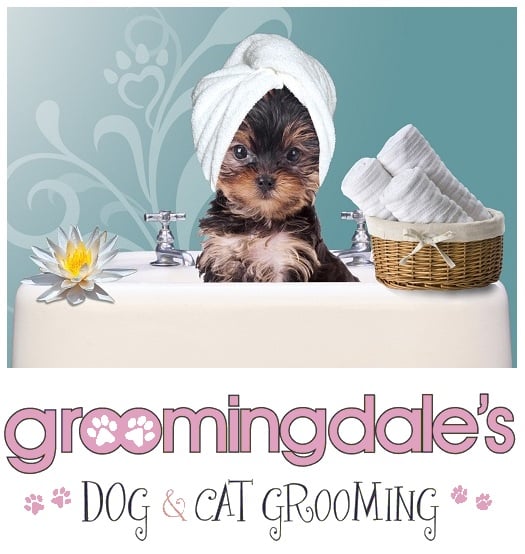 Groomingdales Pet Groomers 340 Budlong Rd, Cranston, RI Phone