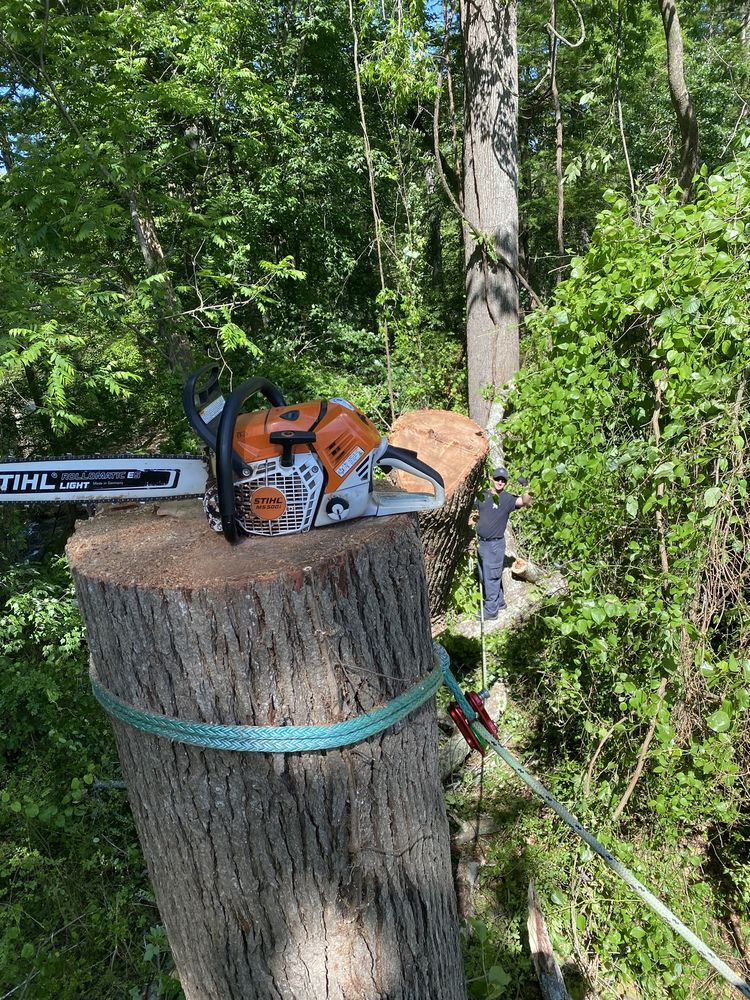 Pinky’s Tree Service