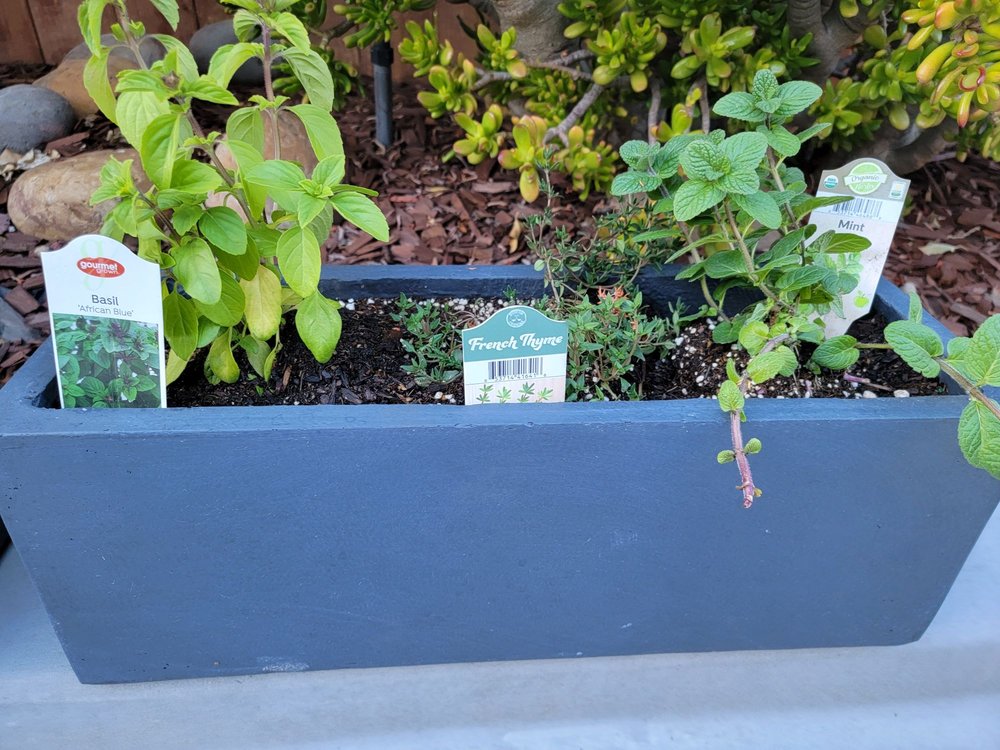 Armstrong Garden Centers