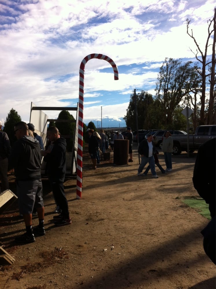 casazza s christmas tree farm closed home garden casazza s christmas tree farm closed home garden