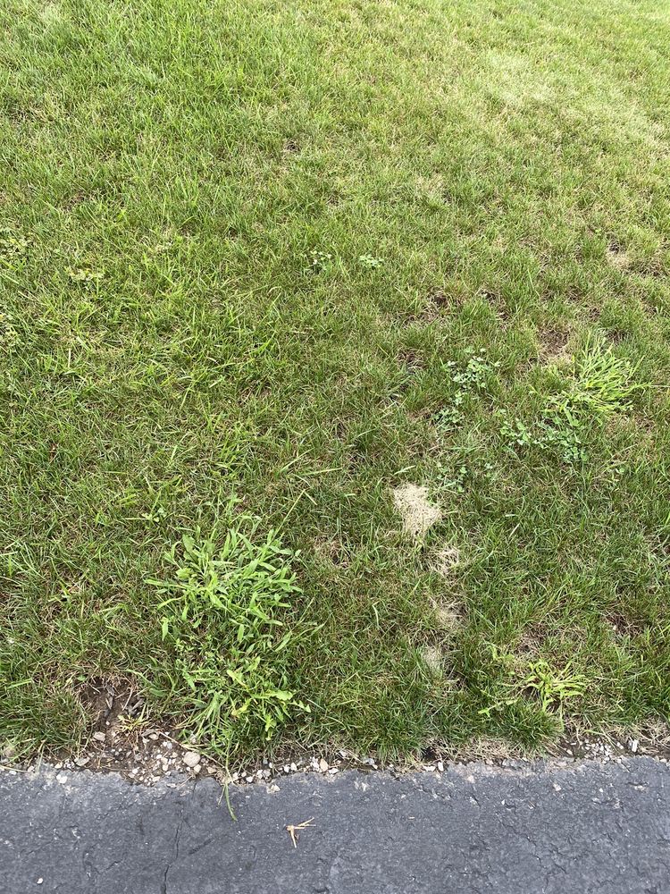 TruGreen Lawn Care