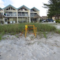 Coconuts Beach Resort 17 Photos Hotels 100 73rd St Bradenton Photo Of Coconuts Beach Resort Bradenton Fl United States Sea Turtle