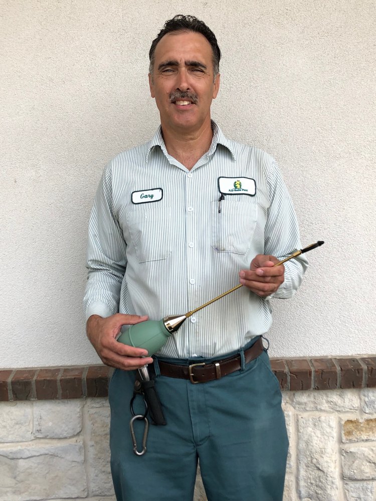 All-Safe Pest & Termite