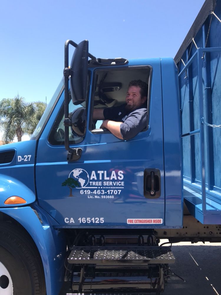Atlas Tree Service 24 Photos 33 Reviews Services 9032 Atlas Tree Service 24 Photos 33 Reviews Services 9032 Olive Dr Spring Valley Ca Phone Number Yelp