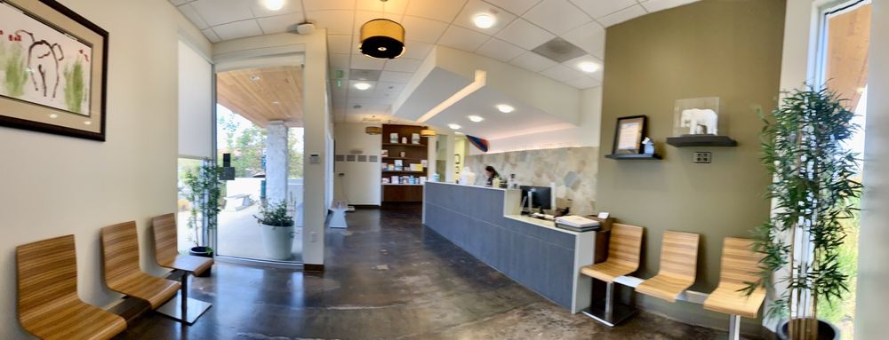 Veterinary Dental Specialties & Oral Surgery