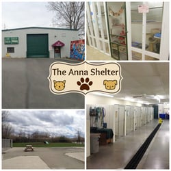 Fascinating Anna Shelter In Erie Pa Pictures