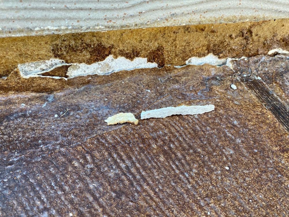 image of business Houston Concrete Staining