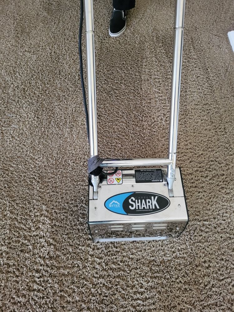 Rickys Carpet and Tile Cleaning