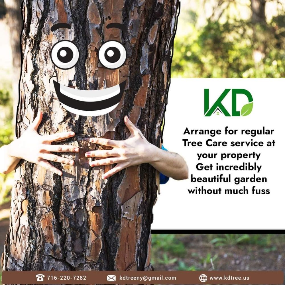 KD Tree Service Buffalo NY