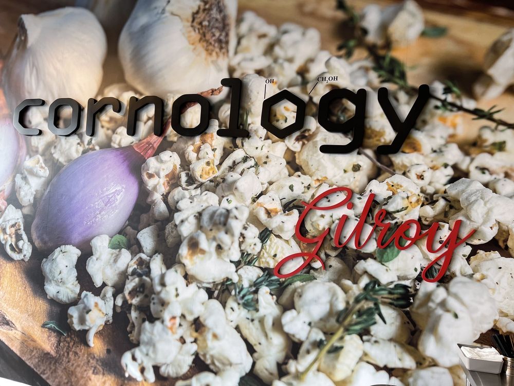 Cornology Extraordinary Popcorn