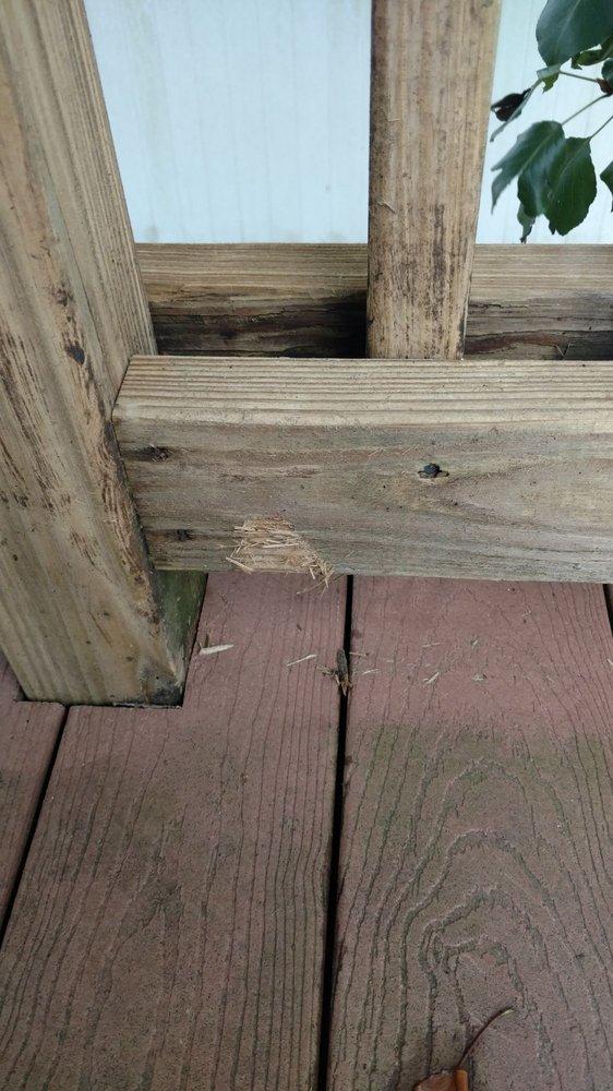 East Coast Powerwashing