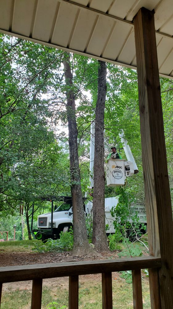 Johnson Tree & Property Maintenance