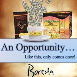 Drink Coffee or Tea? Enjoy Your Cup and Lose Weight ... Boresha International, Independent Distributor ...