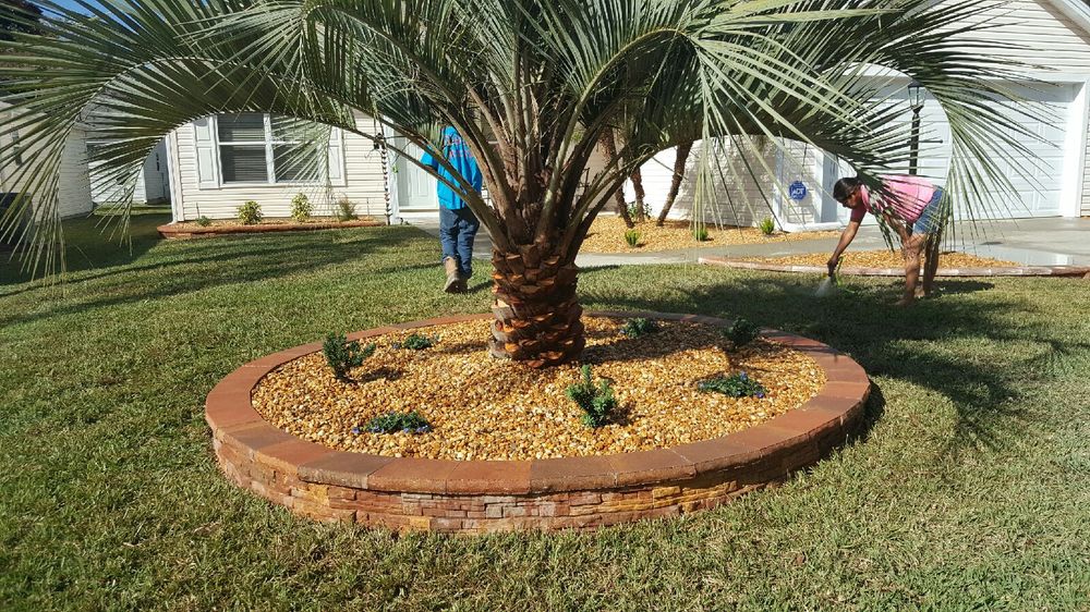 Jr Vidal Palm Tree Services Landscaping The Villages