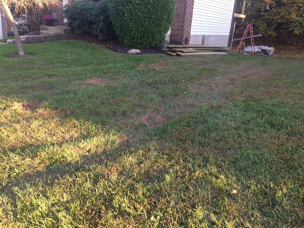 Lowe's Home Improvement