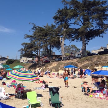 Sunny Cove Beach 45 Photos 40 Reviews Beaches Dr Photo Of Sunny Cove Beach Santa Cruz Ca United States People Lounging
