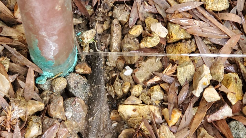 image of business Handyman Xtreme