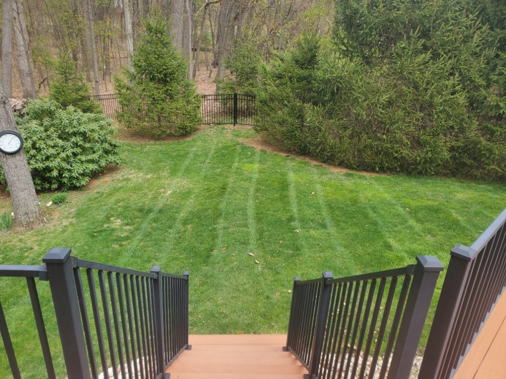 Sunny Day Lawn and Landscape