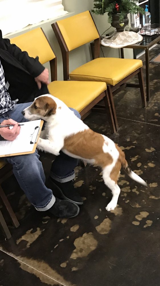 Prairie Paws Animal Shelter Animal Shelters 3173 Hwy K 68, Ottawa