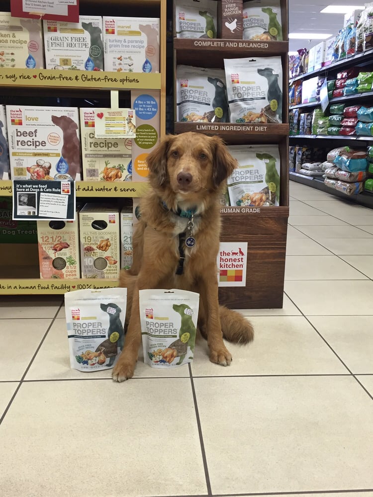 Dogs and Cats Rule 11 Photos Pet Stores 1941 Norristown Rd, Maple Glen, PA Phone Number