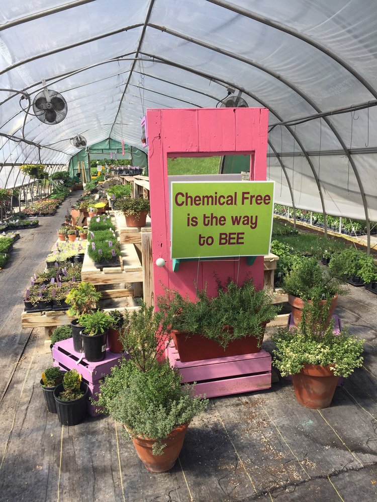 AdoptAPlant Greenhouses 10 Photos Nurseries & Gardening 10856 Oxford Rd, Harrison, OH