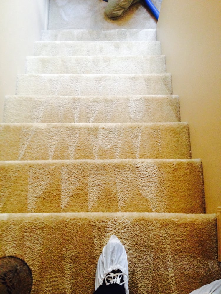 Green Steam Carpet Cleaners