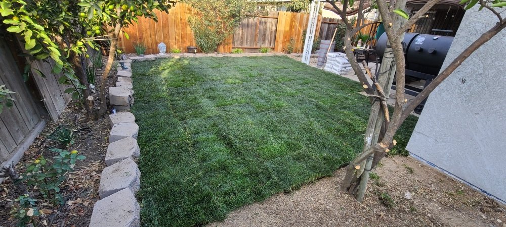 Juan Alvarez Landscaping & Maintenance
