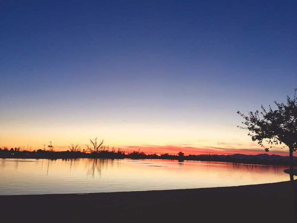 Pioneer Community Park 32 Photos & 30 Reviews Dog Parks 8755 N