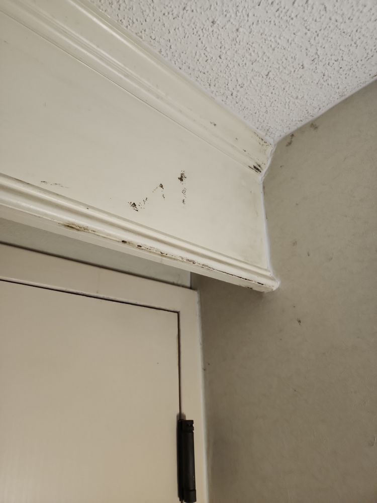 Crowne Plaza Hickory