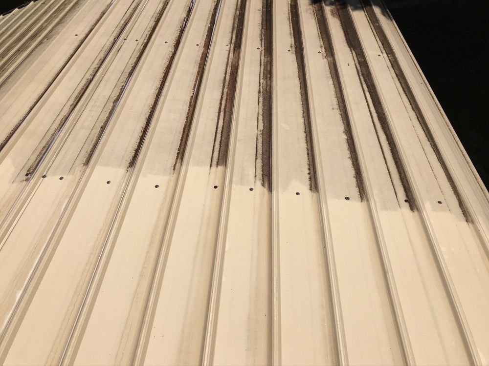 Body Lines Detailing and Pressure Cleaning