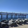 Best Burgers in San Diego