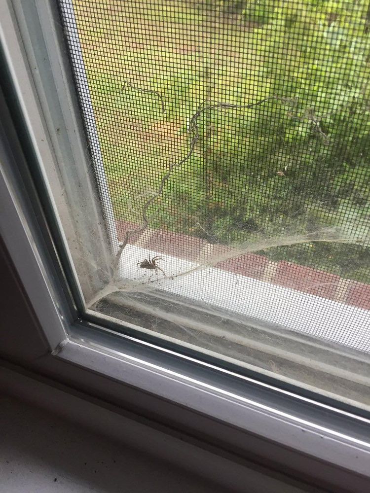 Nottingham Pest Control