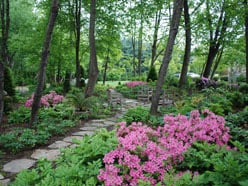 Sisson Landscapes