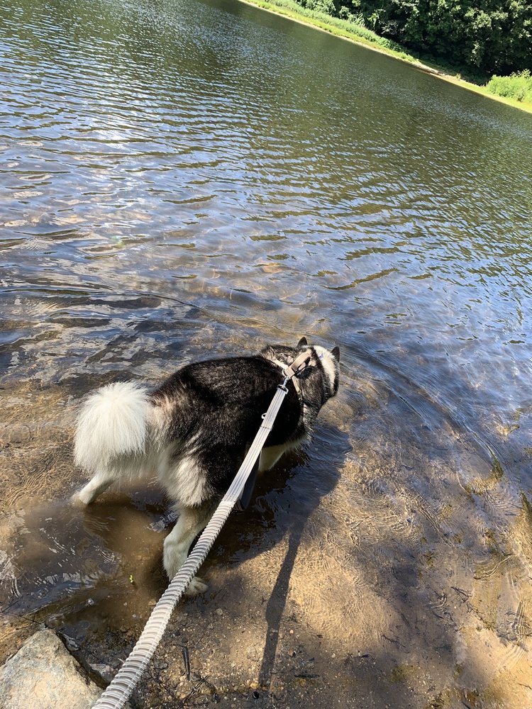 Lake Mohegan