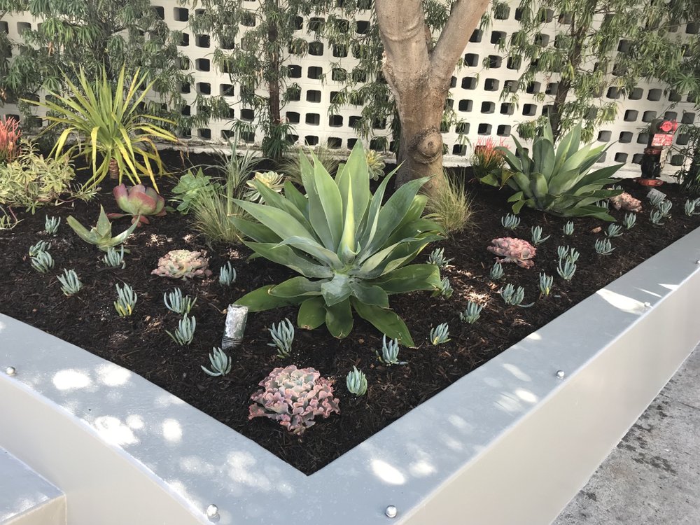 Razo Landscaping